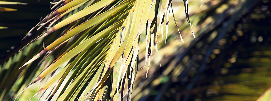 This is slider caption. It is very easy to setup and use.